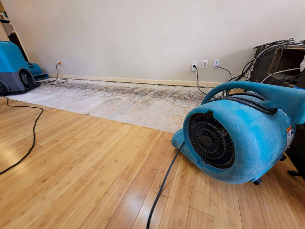 Professional Ceiling Water Damage Repair technician working in Bentley, MI