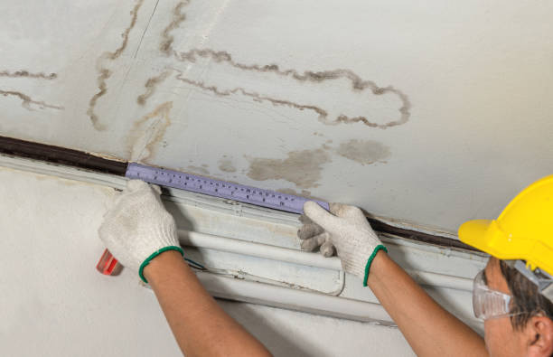 Affordable Ceiling Water Damage Repair solutions in Bentley, MI